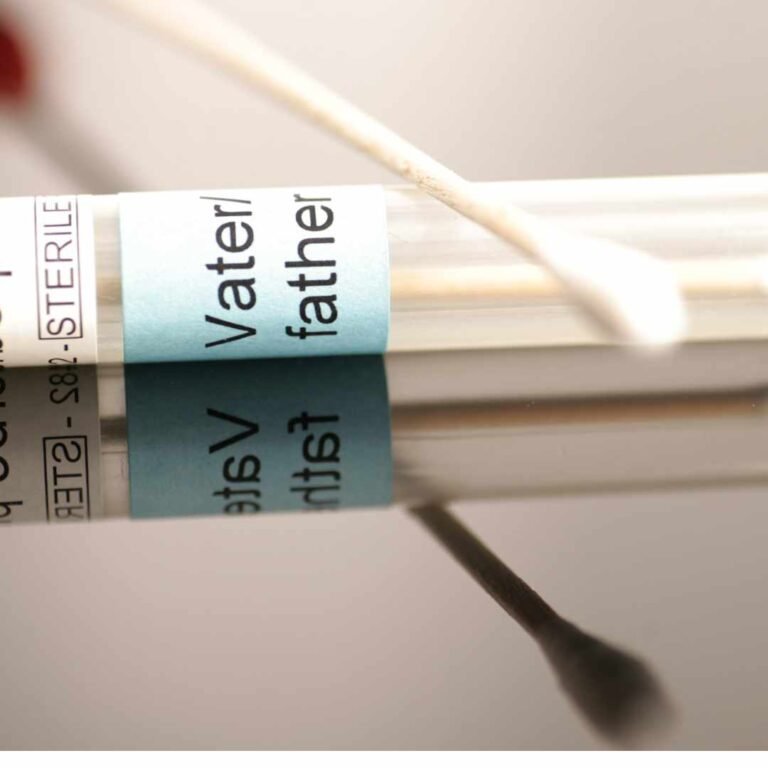 A close-up photo of an AT HOME PATERNITY DNA TEST cotton swab resting on a clear test tube with a blue label displaying the word "father." The reflective surface beneath mirrors both the swab and the tube.